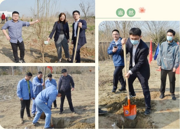 邁安德植樹活動