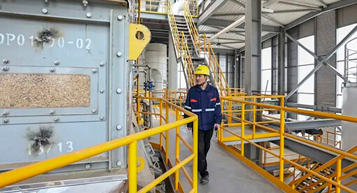 邁安德承建5000T/D植物油料預(yù)浸及1000T/D精煉生產(chǎn)線