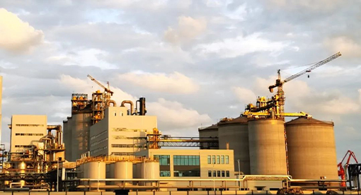 青島渤海董家口6000噸大豆預處理、浸出生產線